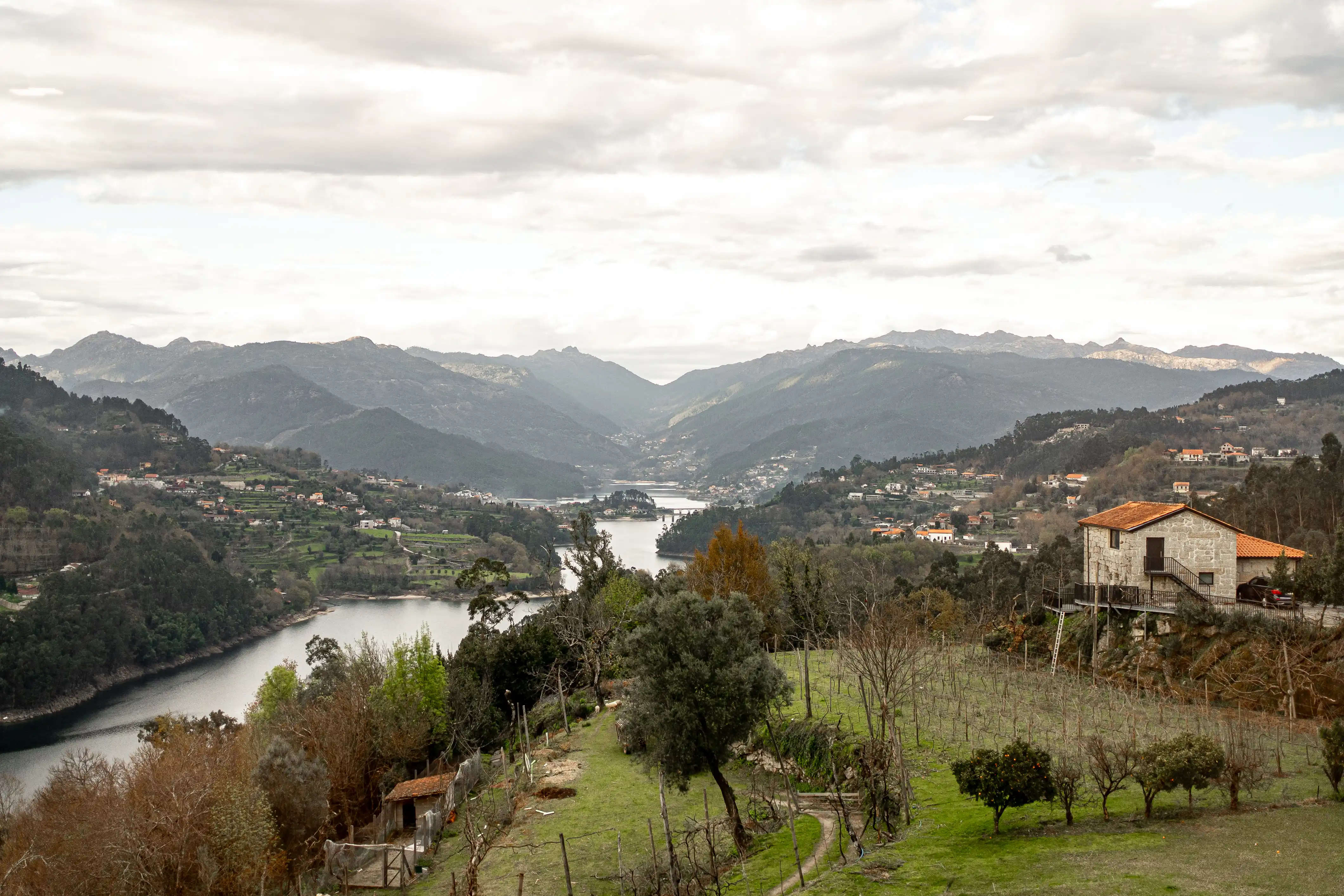 Quinta de Calvelos - História